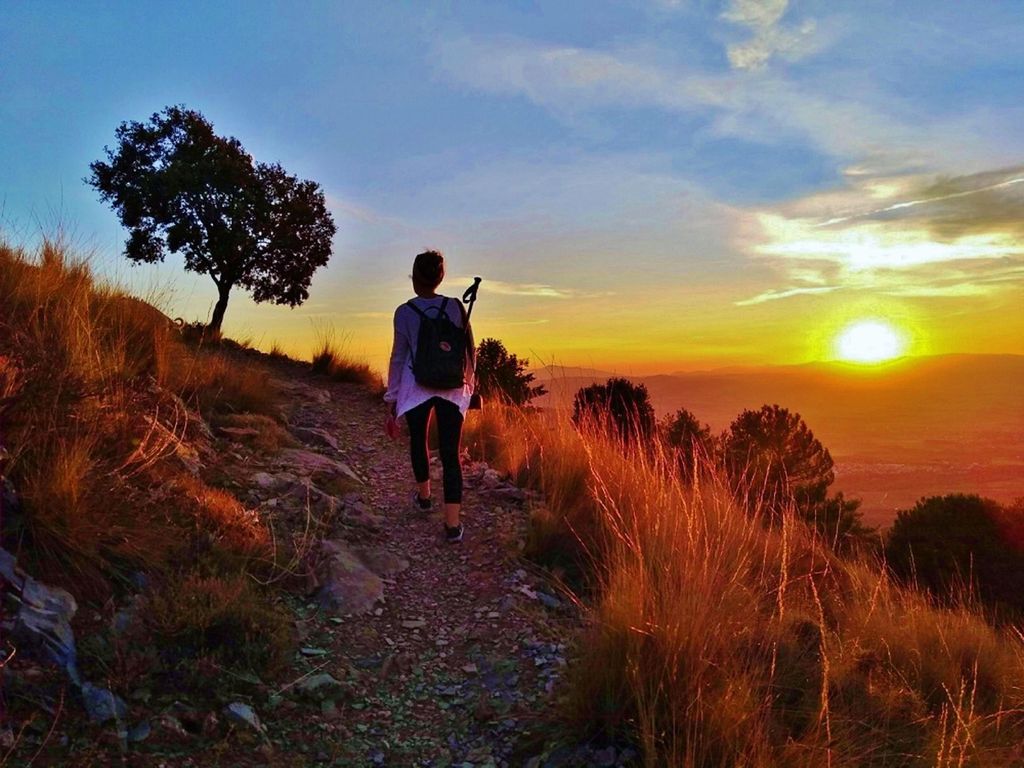 ⭐ Sonnenuntergangswanderung & Gipfel der Sierra Nevada mit Welpe ⭐