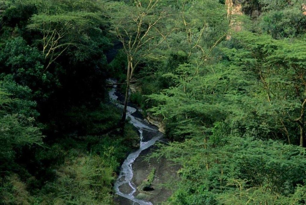 Nairobi: Geführte Tour zum Hells-Gate-Nationalpark und zum Naivasha-See