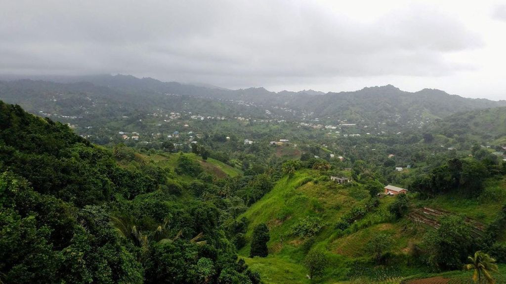 Kingstown: Dark View Falls Tour mit Abholung