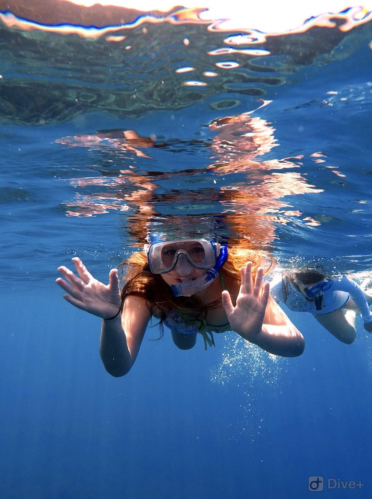 Maui und Lanai: Schnorchel- und Delfin-Abenteuer-Tour