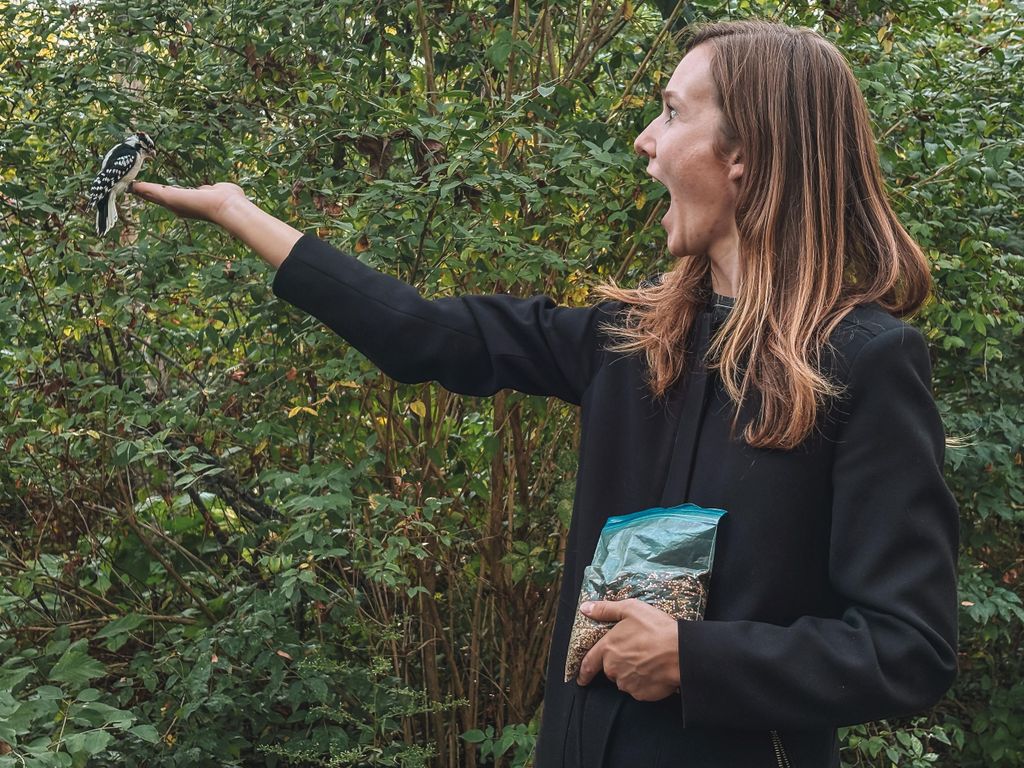 Ottawa: Geführte Naturwanderung & Wildtiertour mit Hotelabholung