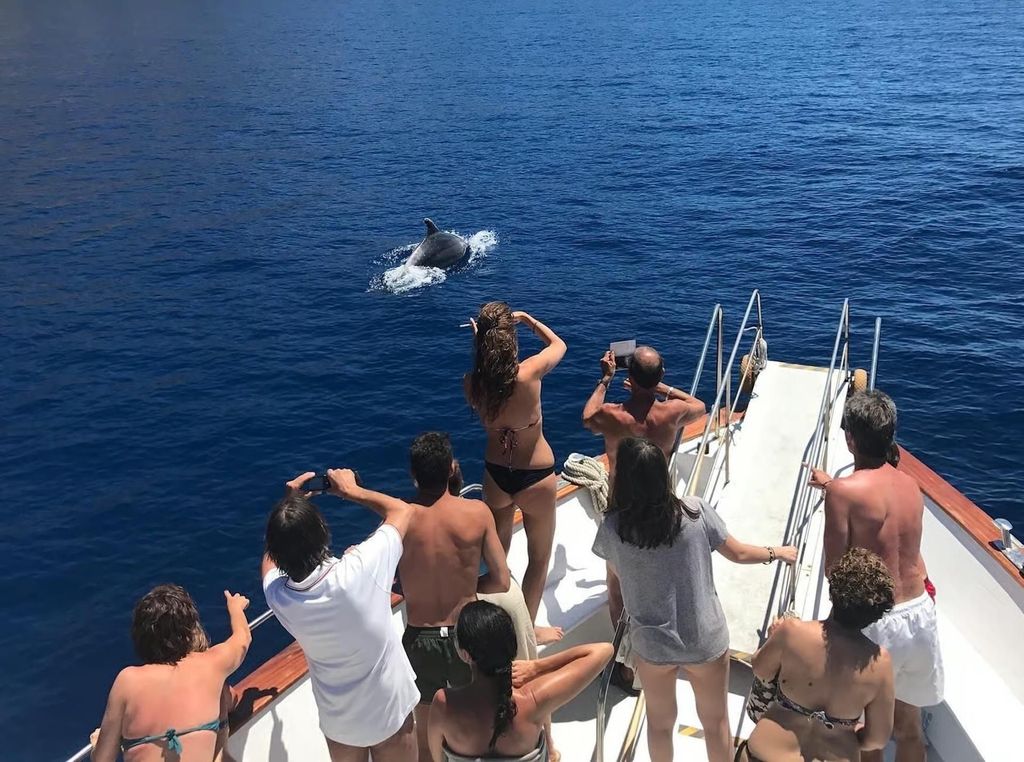 Elba: Halbtagesausflug von Marina di Campo nach Sant'Andrea