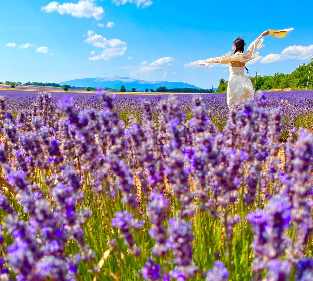 Von Avignon: Lavendelfelder und Dörfer im Luberon