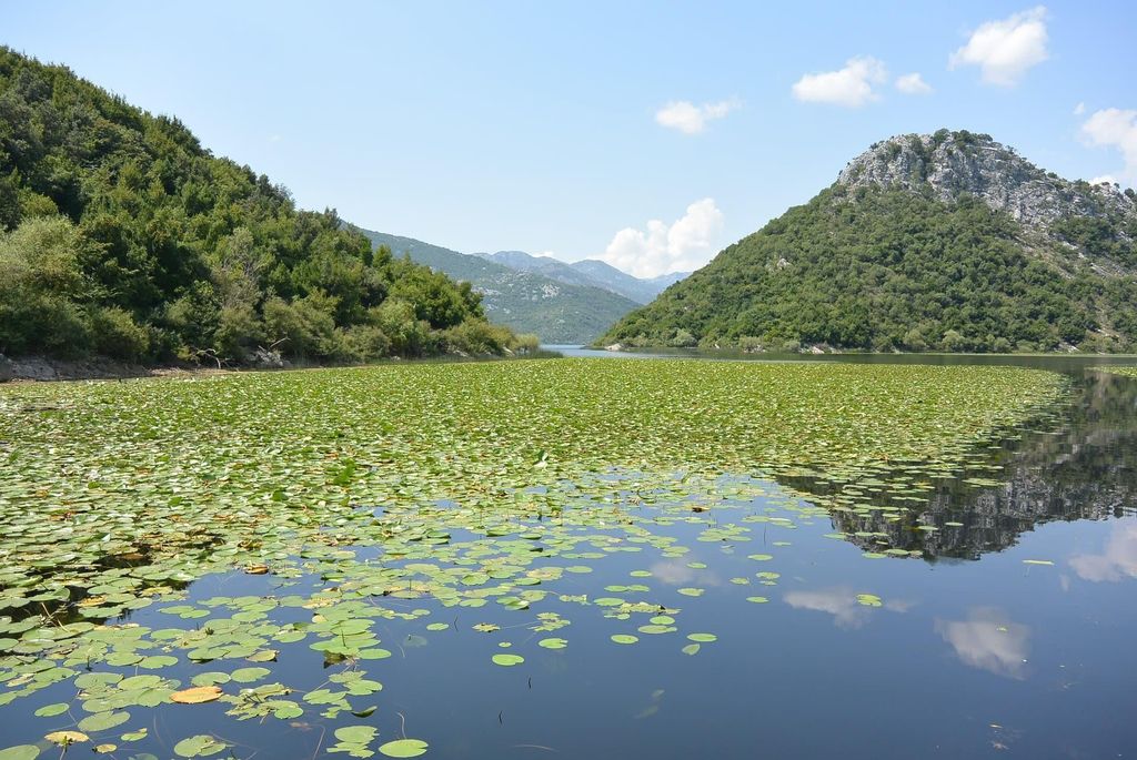 Tagestour zum Skadar See von Herceg Novi aus