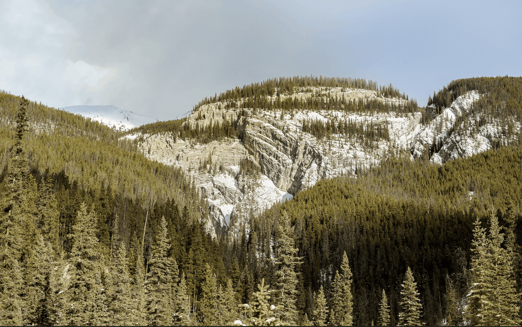 Jasper: Tour durch das Maligne Valley und den Pleckatis Canyon