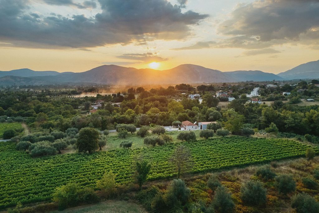 Parga: Acheron Sonnenuntergang Weinberg-Tour & Farm-to-Table Dinner