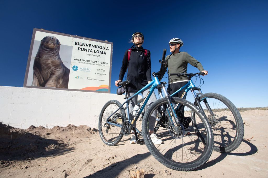 Madryn Bike Tours. Punta Loma: Seelöwen, Schiffswracks und Klippen
