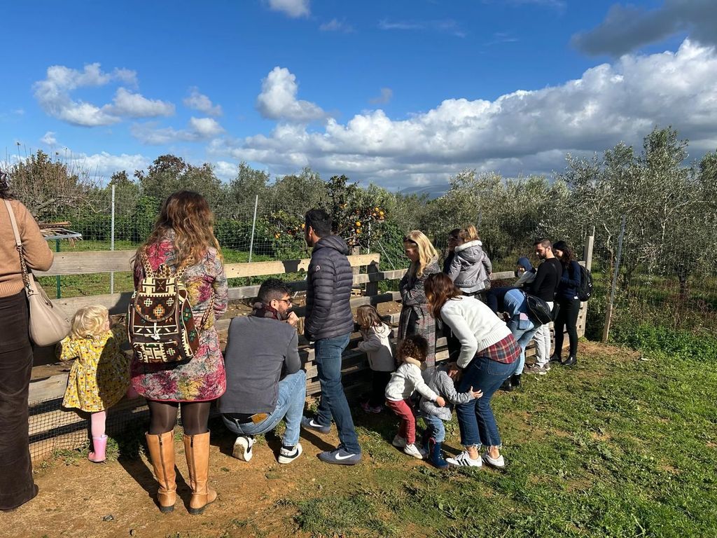 Partinico: Olivenhain, Montessori-Workshop 1-4 Jahre, Tiere und Verkostung