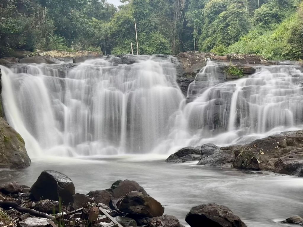 Byron Bay: Geführte Öko-Tour zu den Wasserfällen im Regenwald