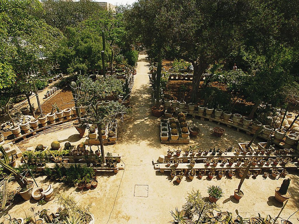 Argotti Botanical Gardens