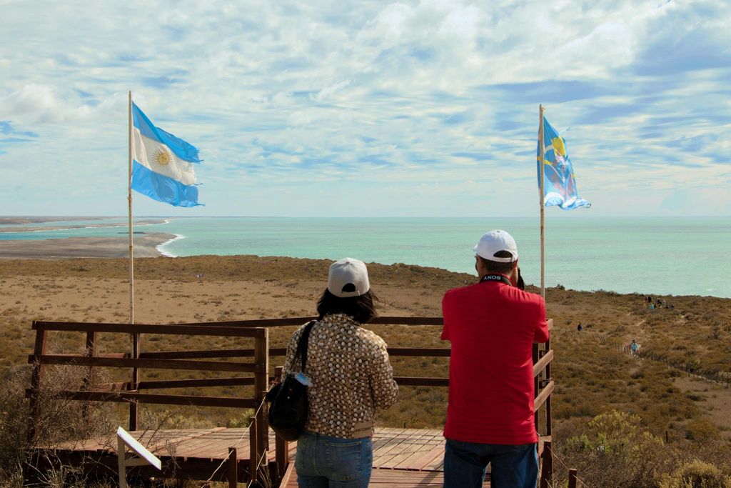 Küstentour auf der Halbinsel Valdés für Kreuzfahrtpassagiere + Stadt