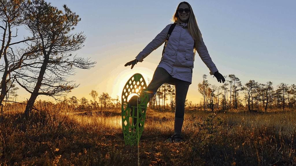 Ab Riga: Bog-Shoe-Wanderung in Lettlands wilder Natur (Englisch oder Deutsch)