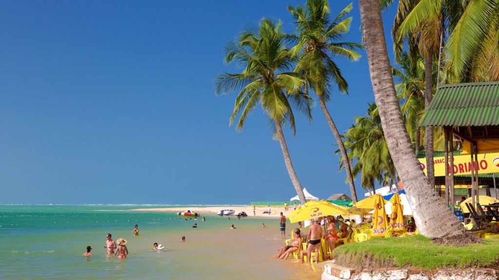 Maceió: Mit dem Van zum Gunga-Strand, mit Guide – super!