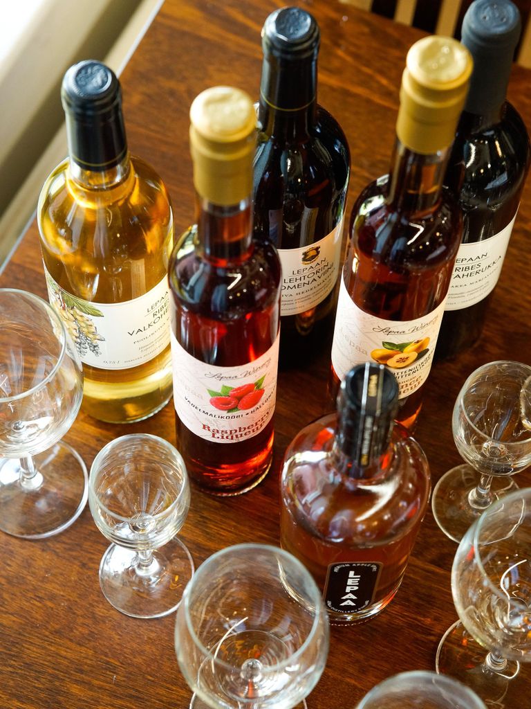 Helsinki: Privater Besuch des finnischen Beerenweinguts mit Verkostung