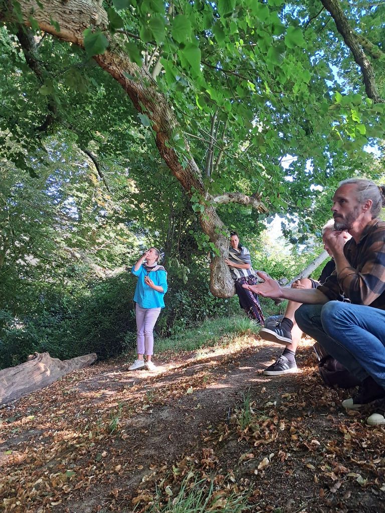 A Tour of Glastonbury - Guided by the Trees