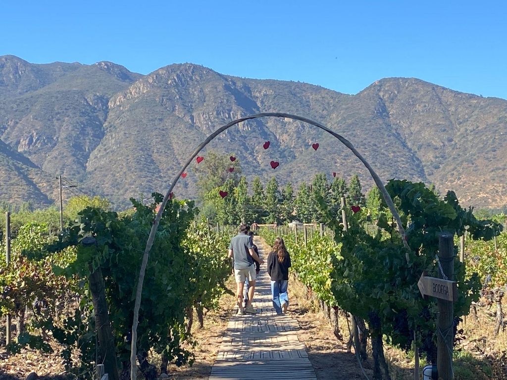 Cachapoal-Tal: Private Weintour Viña Casa Acosta und Viña VIK