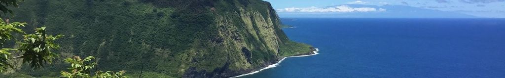 Kona: Himmlische Hamakua Tagestour mit Abholung vom Hotel