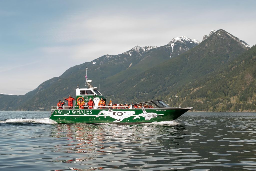 Vancouver: Whale Watching-Tour im Freien, Granville Island