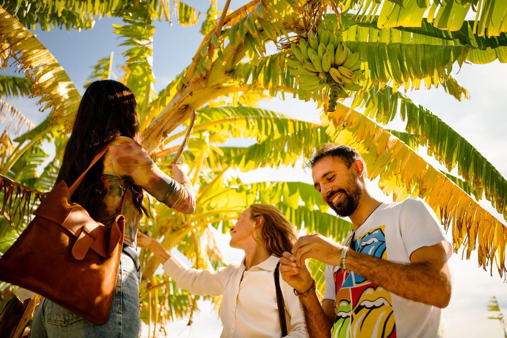 La Herradura Coffee Farm: Tour durch Europas einzige Plantage