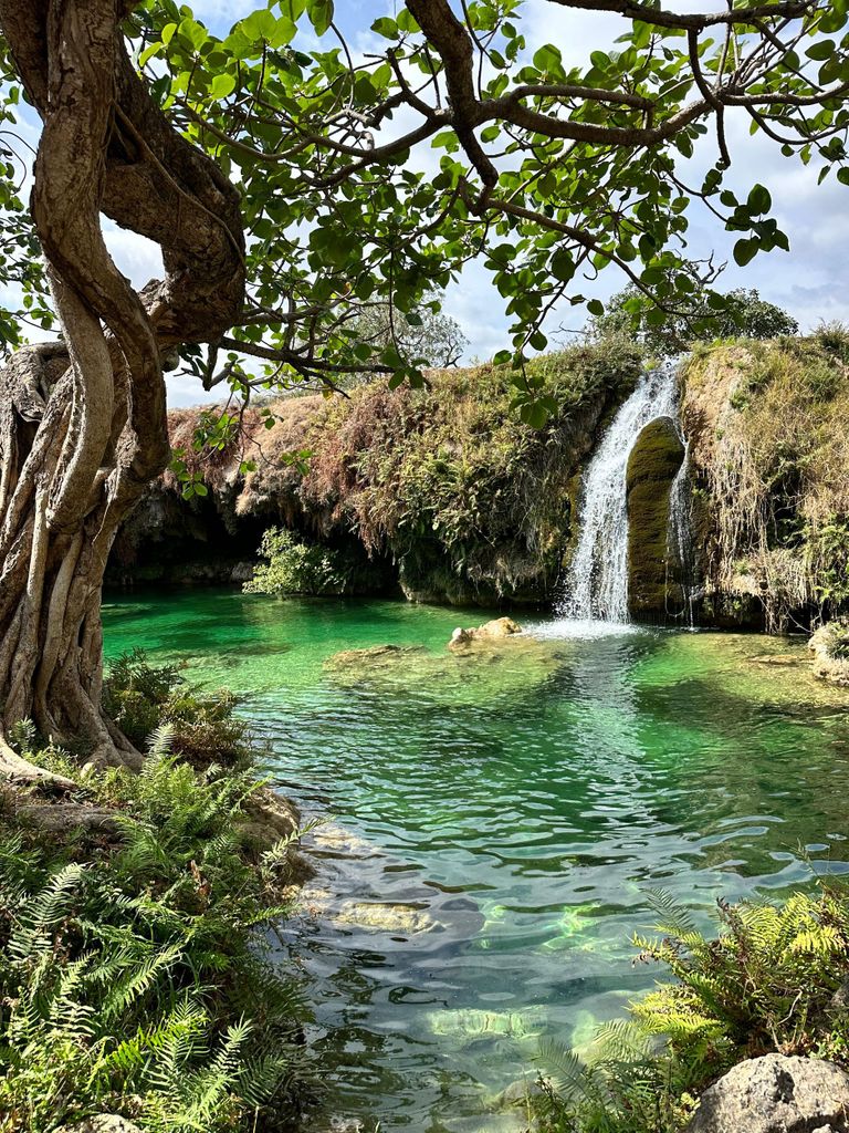 Private Elite-Tour: Salalahs Hauptattraktionen – alles in einem