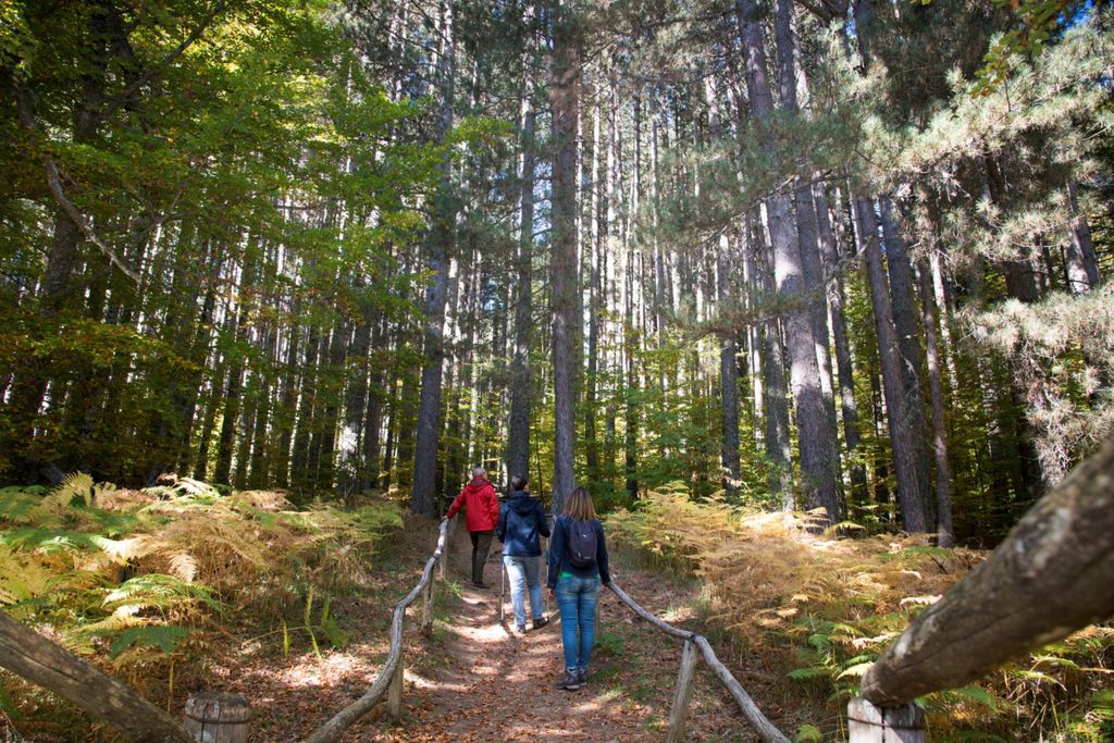 Camigliatello: Tour zum Riesenschutzgebiet & Weinprobe