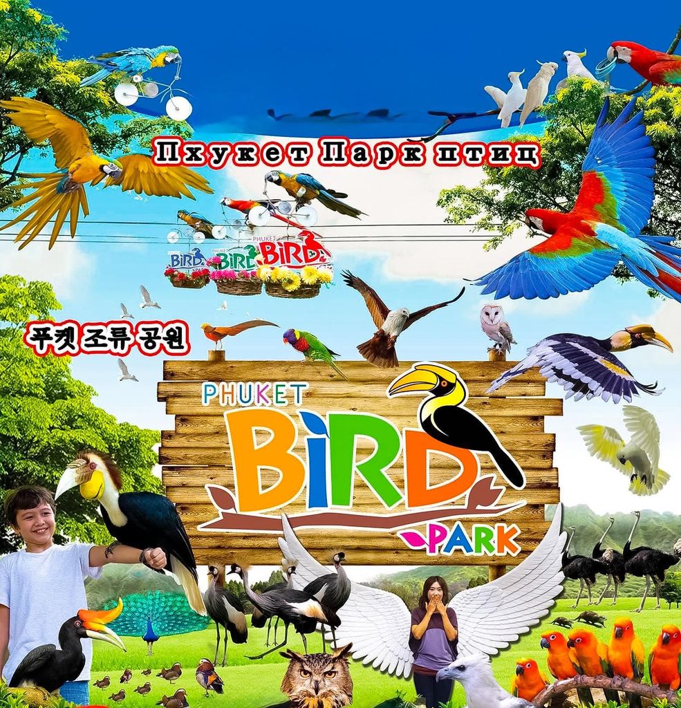 Phuket: Vogelpark, Elefantenfütterung, Quadfahrt & Städtetour