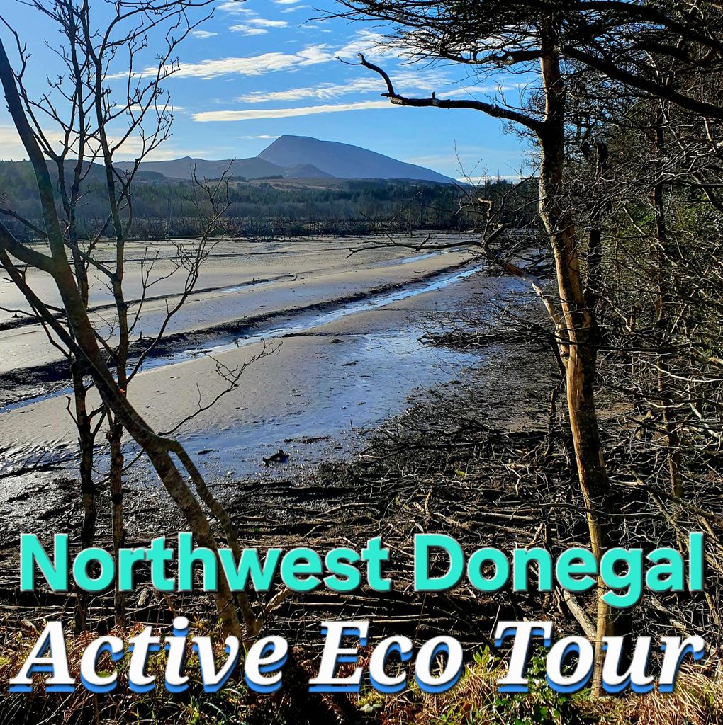 Nordwest Donegal: Private Active Eco Tour