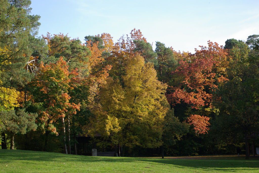Herbstlandschaft, daneben Festwiese
