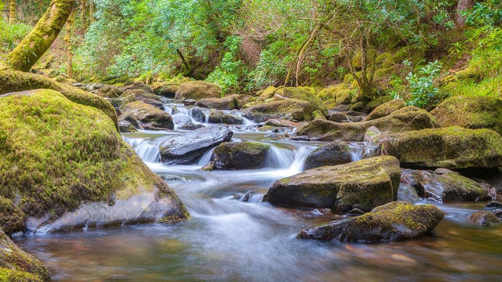 Killarney: Rundgang mit einem Einheimischen