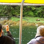 Im Boot zu den Grizzlys im Khutzeymateen-Bärenschutzgebiet