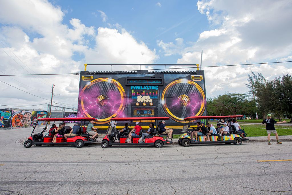 Wynwood Art District 1-stündige Wynwood Buggies Street Art Tour