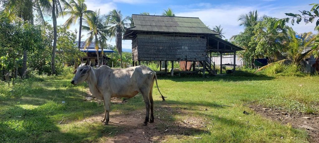 Kampot: Kulturelles Fahrrad-Erlebnis – lokales Leben & Landschaft