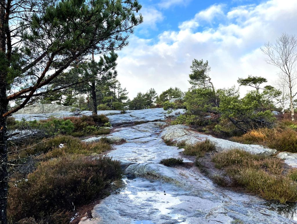 Kristiansand: Die Lochner-Wanderung