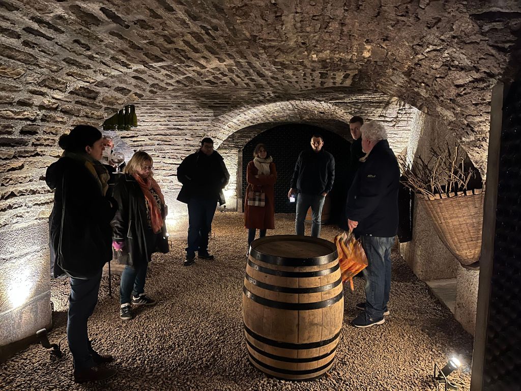 Côte de Beaune Private Tour zu den örtlichen Weingütern und Weinverkostung