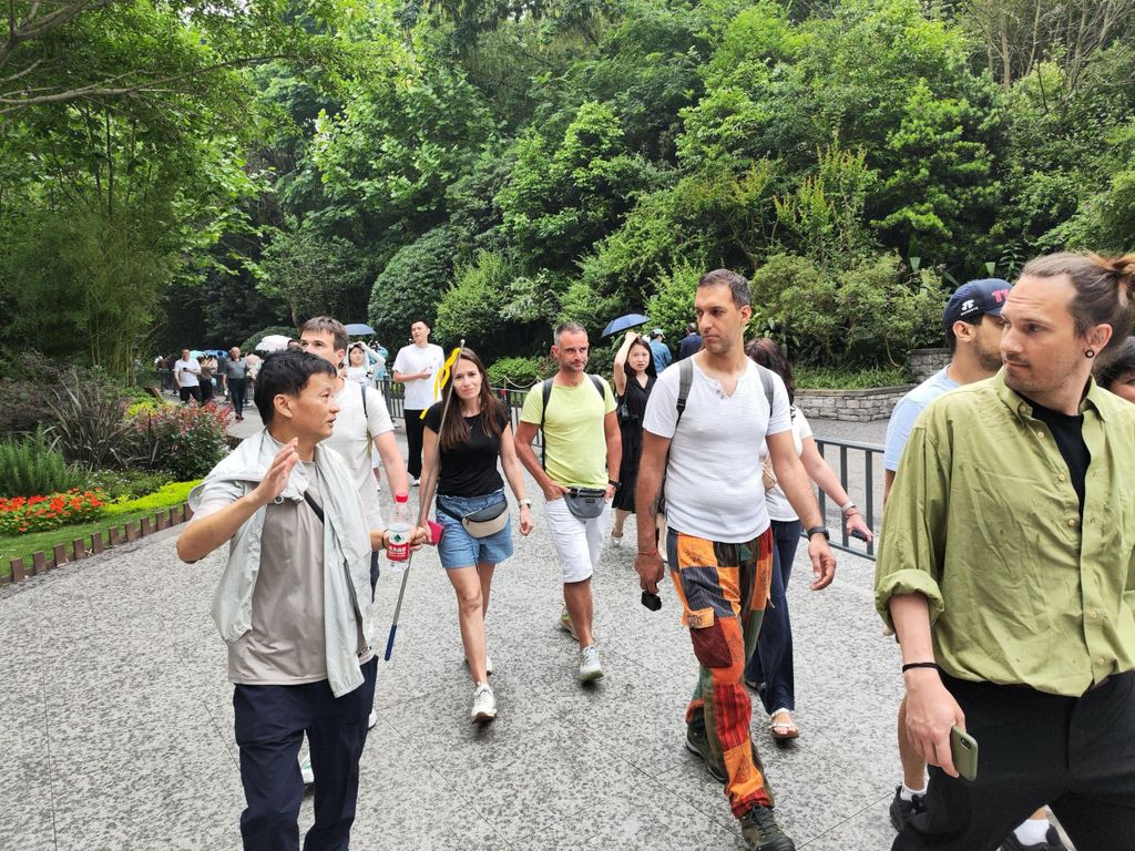 Chengdu: Halbtagestour zur Panda-Station oder Tagestour zu Pandas & Buddha