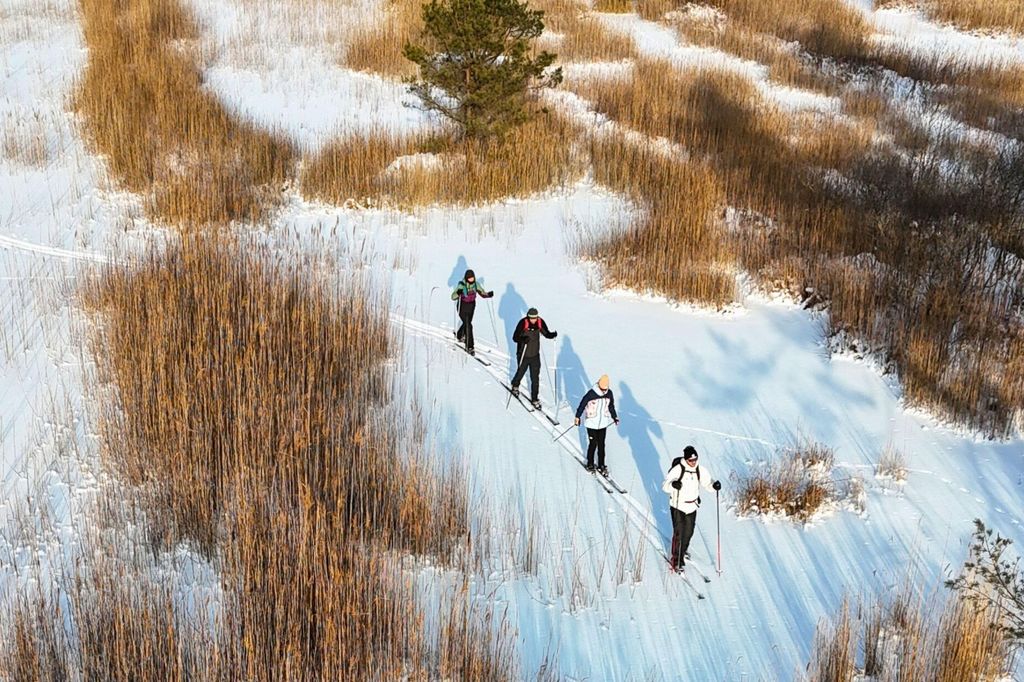 Ab Riga: Skifahren im Wald mit Ausrüstung