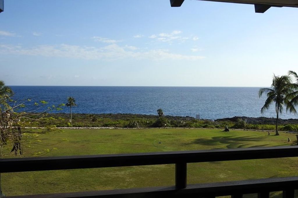 Von George Town: Ganztägige Inseltour auf Grand Cayman