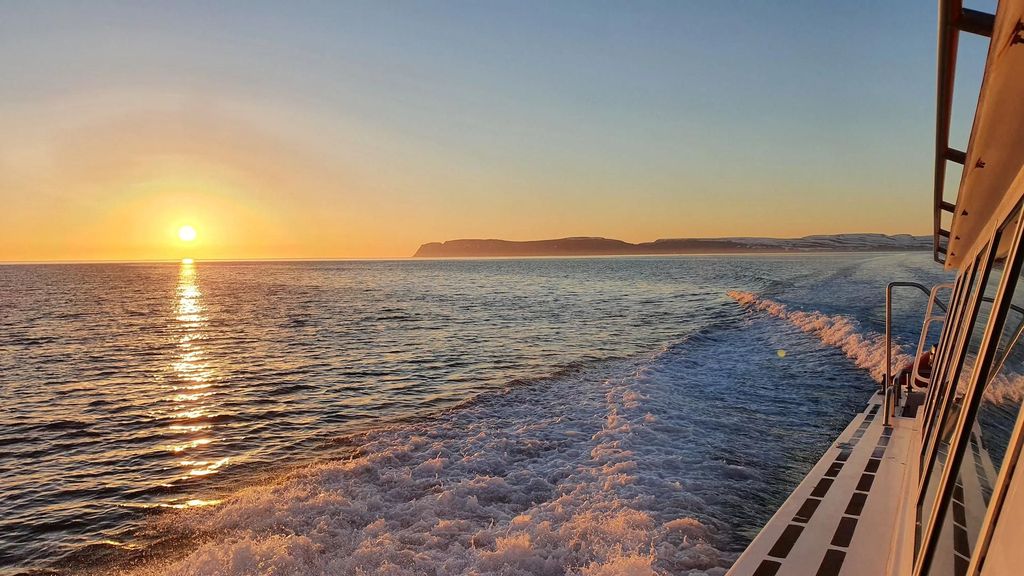 Ísafjörður: Mitternächtliche Walbeobachtungstour mit Hydrofon