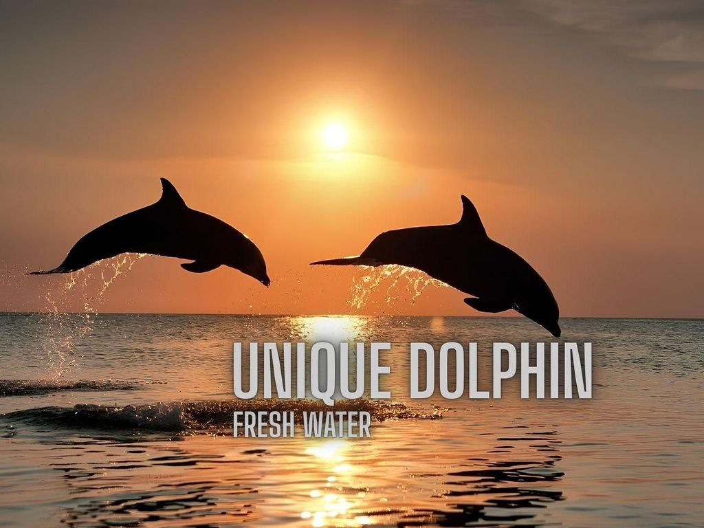 Kratie: Delfin-Tour bei Sonnenuntergang mit Mekong-Abenteuer