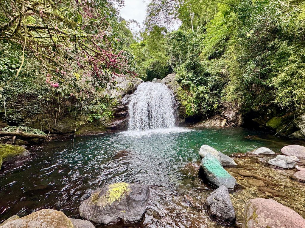 Portland: Entdecke die Fish Dunn Falls