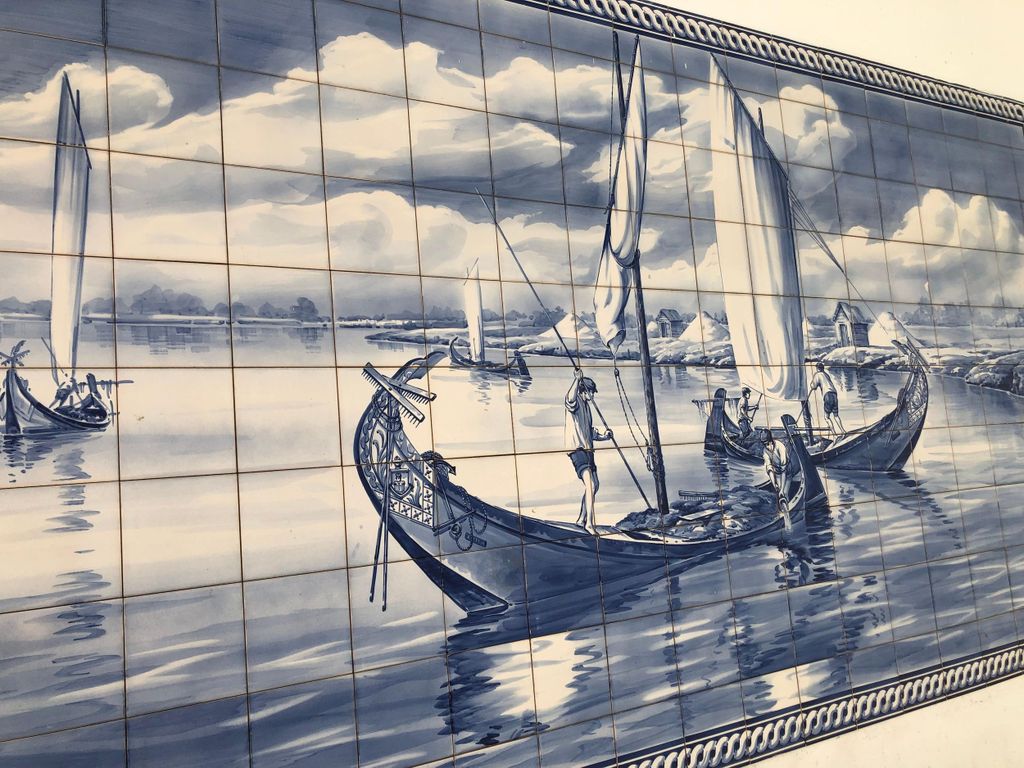 Panoramaspaziergang in Moliceiro 45 m + Spaziergang in Aveiro 1 Stunde