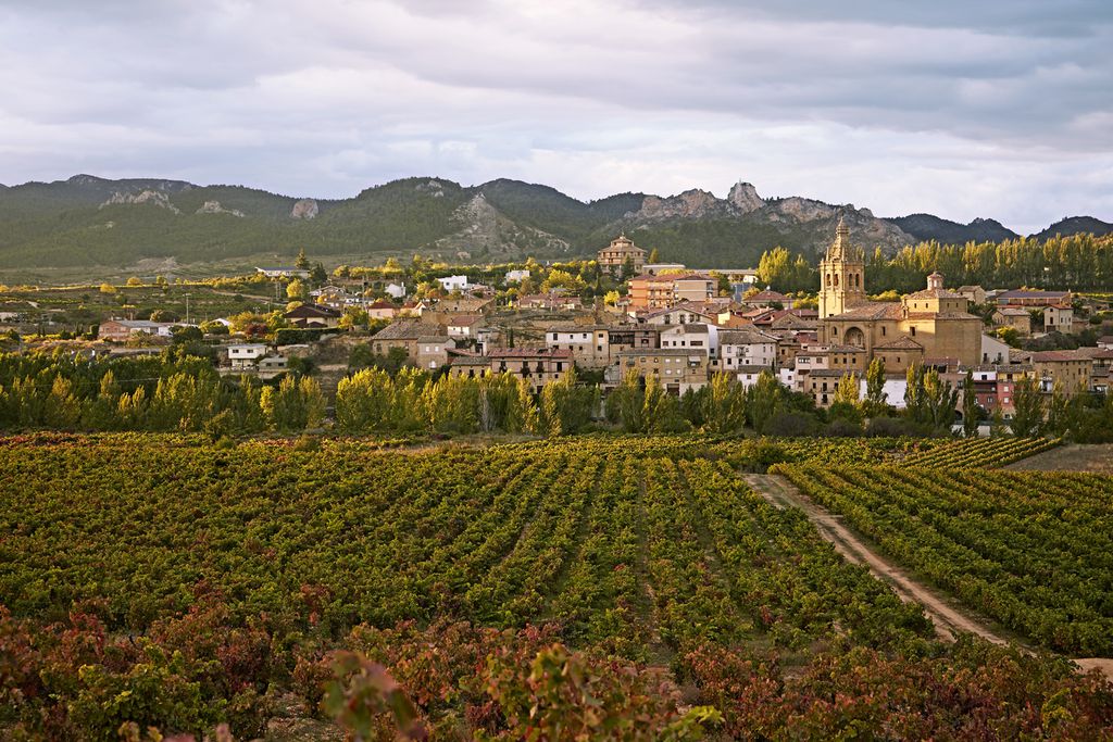 Blicke über Weinberge nahe San Vicente de la Sonsierra