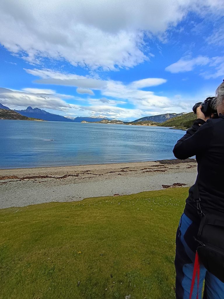 USHUAIA: NATIONALPARK FEUERLAND & ZUG (optional) Tour