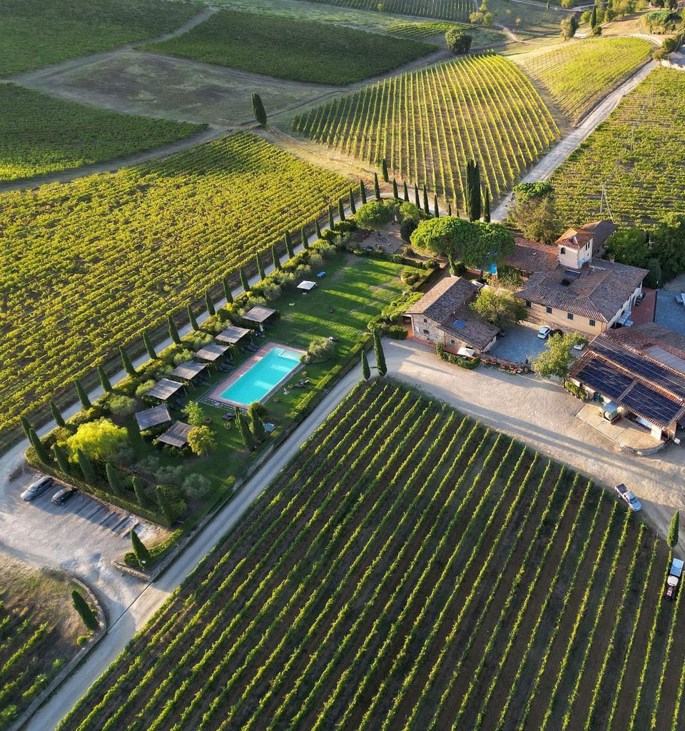 Entdecke die Weine des Chianti Classico mit Führung und Verkostung in Viticcio