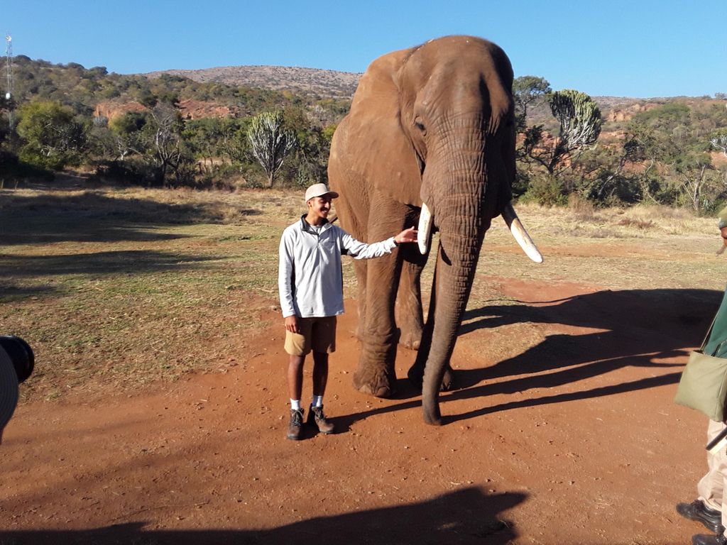 Das Elefanten- und Affenreservat.