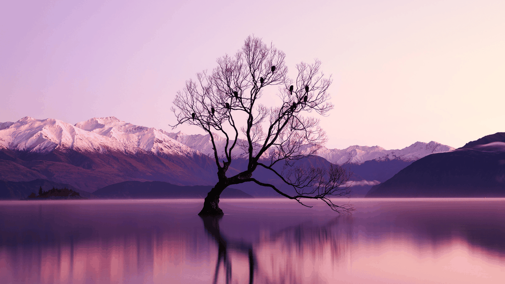 Queenstown: Private Tagestour nach Glenorchy und Wanaka