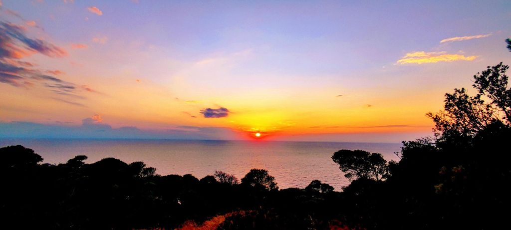 Von Vieste aus: Tremiti Inseln Hin- und Rückfahrt mit der Fähre