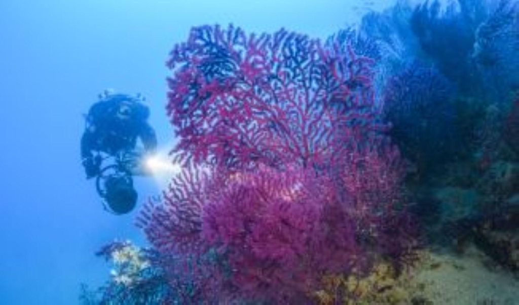 Insel Elba: Doppeltes Eintauchen