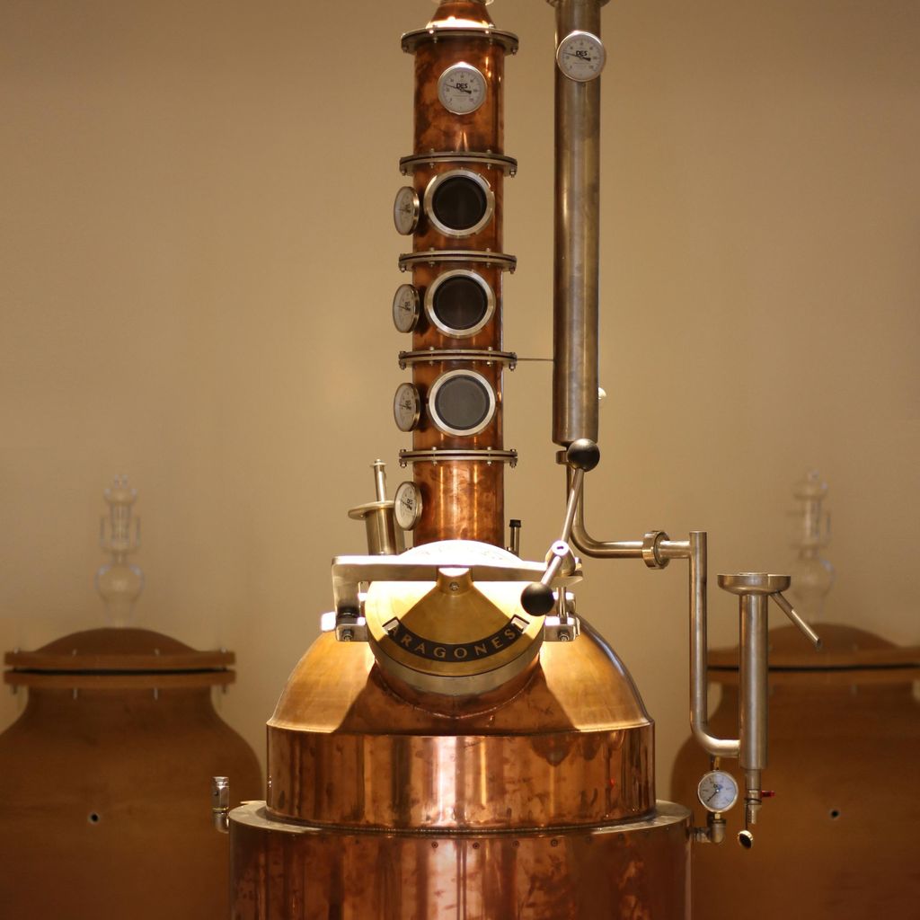 Besuche die Destillerie auf der Insel Ischia