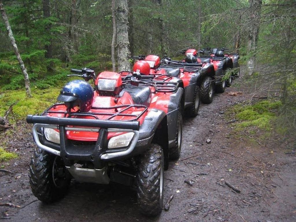 Bird Creek: Chugach State Park ATV-Naturtour & Wanderung